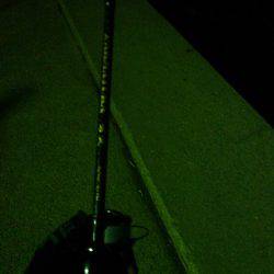 さぶかったぁー